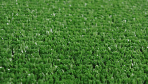 Tiger Turf | Bay Area Turf