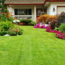 San Francisco Synthetic Lawns Offer a Great Return on Investment