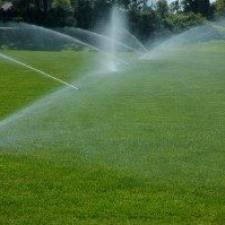 Learning About Maintaining Your Artificial Grass
