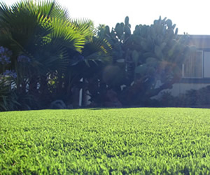 Santa Clara synthetic grass