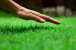 San Francisco Bay Area Synthetic Grass