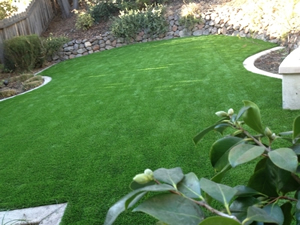 San Francisco Bay Area Synthetic Grass