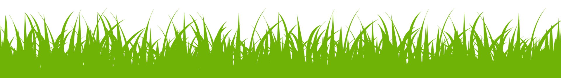 grass vector